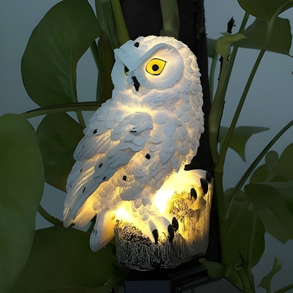 Garden Owl™ – Australia’s Favourite Solar Owl Light