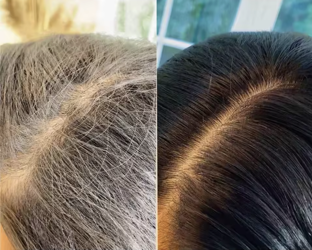 Nova Colour Shampoo - All-Natural Without Harsh Chemicals