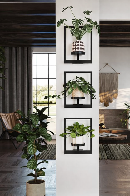 Wall-Mounted Plant & Display Shelf