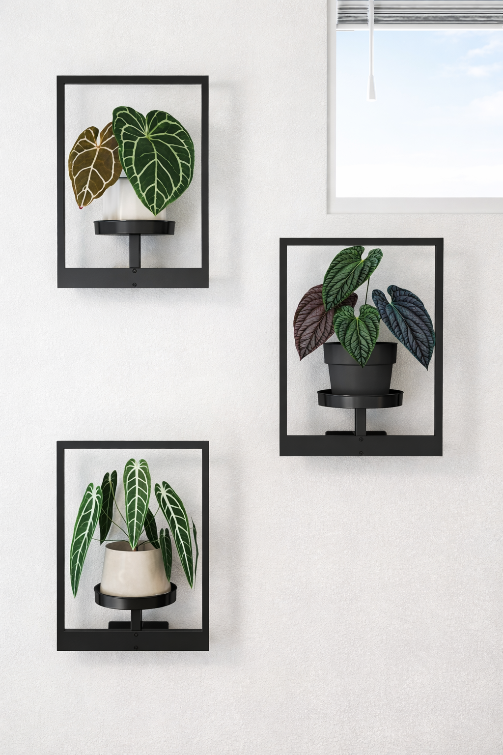Wall-Mounted Plant & Display Shelf