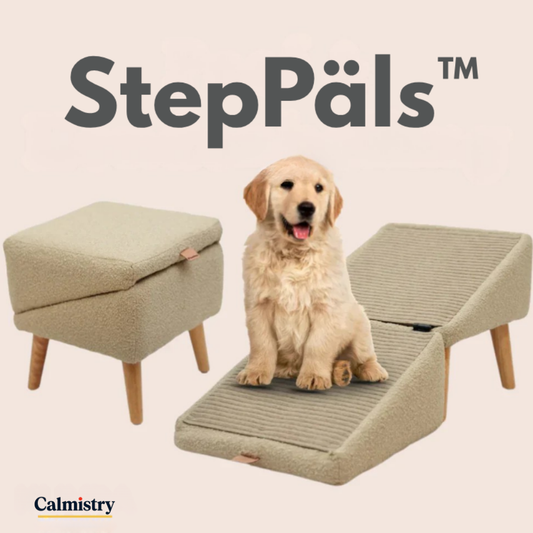 StepPals™ 2-in-1 Dog Puff Ramp