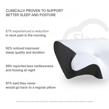 Calmistry™ ErgoPillow™
