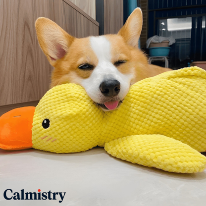 Calming Quack Buddy™